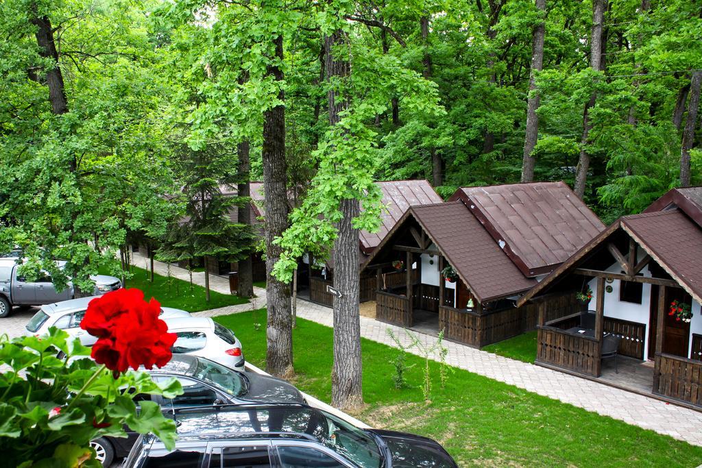 Cornul Vanatorului Bungalows Piteşti Exteriör bild