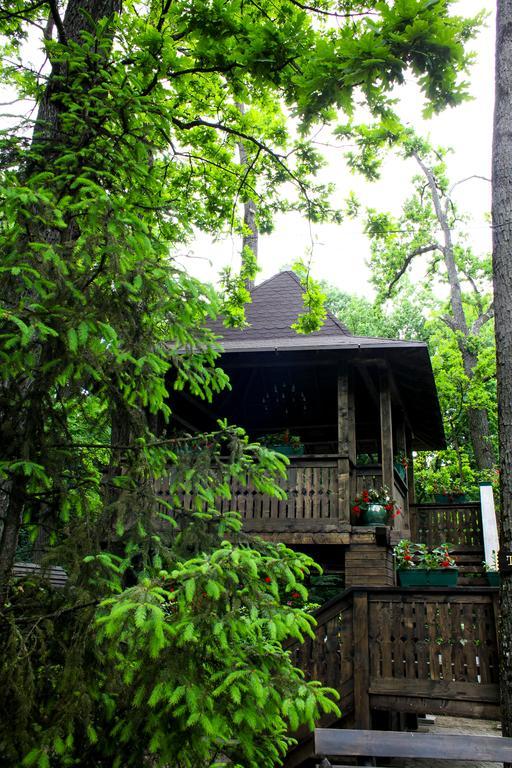 Cornul Vanatorului Bungalows Piteşti Exteriör bild