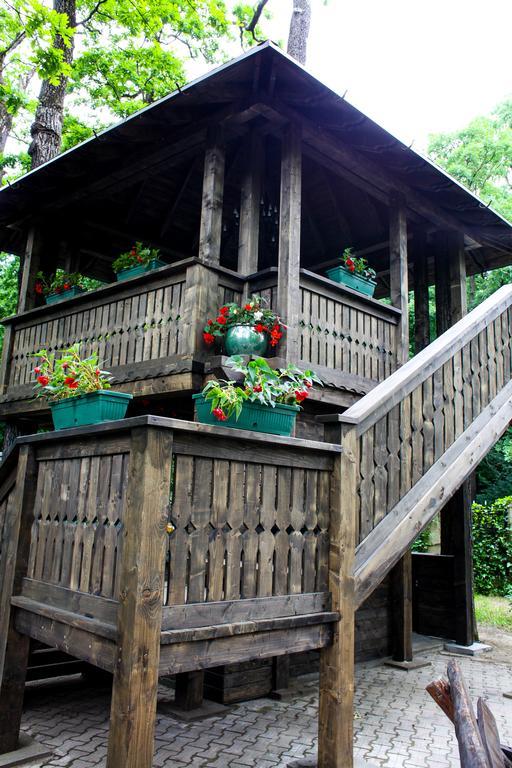 Cornul Vanatorului Bungalows Piteşti Exteriör bild