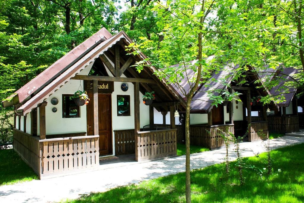Cornul Vanatorului Bungalows Piteşti Exteriör bild