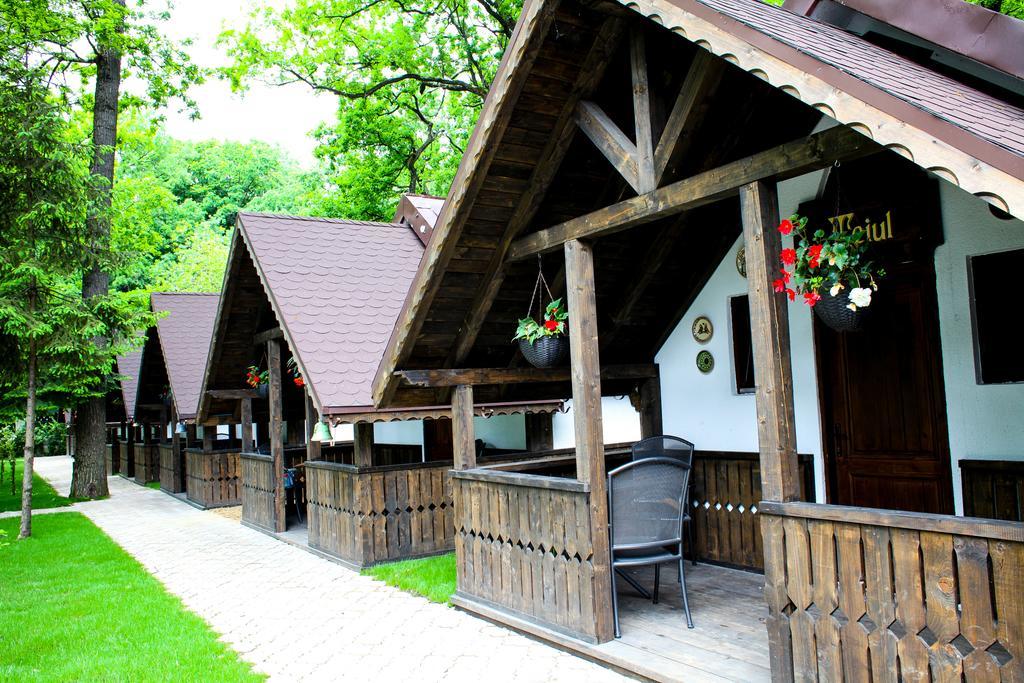 Cornul Vanatorului Bungalows Piteşti Exteriör bild