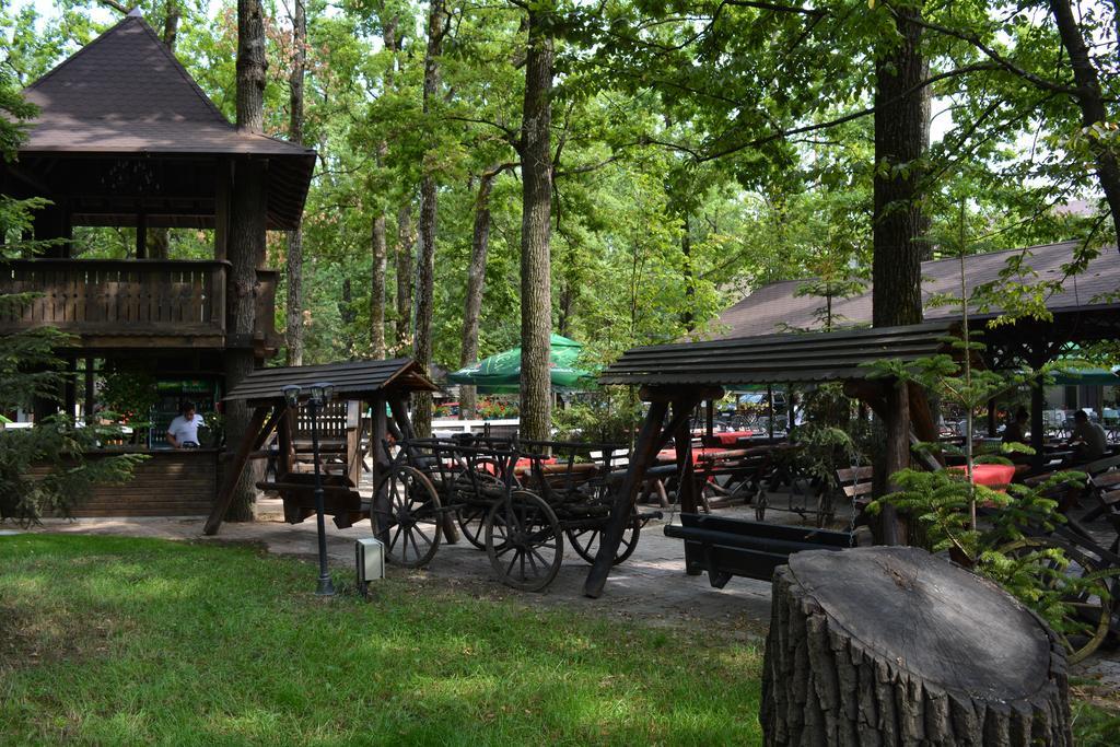 Cornul Vanatorului Bungalows Piteşti Exteriör bild