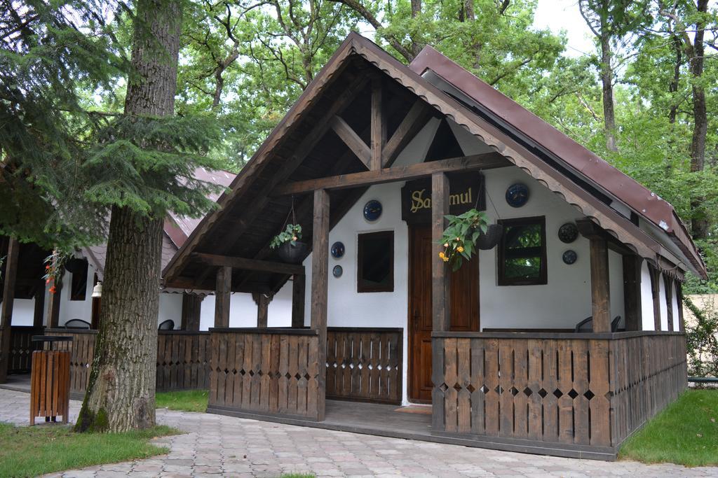 Cornul Vanatorului Bungalows Piteşti Exteriör bild